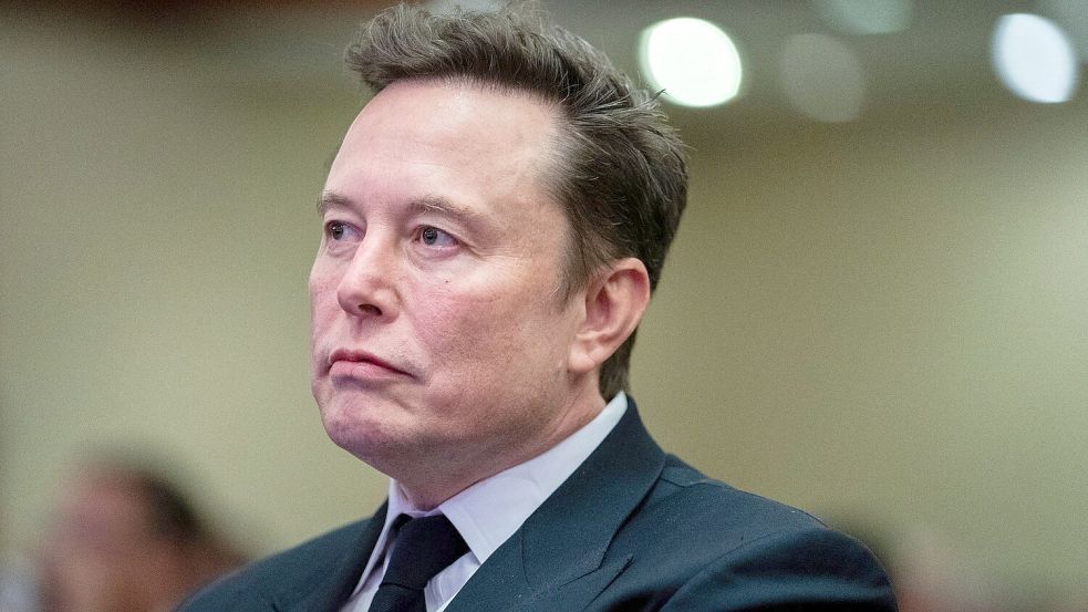 Die stellvertretende Regierungssprecherin weist darauf hin, dass Musk eine vom Verfassungsschutz beobachtete Partei empfiehlt. Foto: Allison Robbert/AFP Pool via AP/dpa