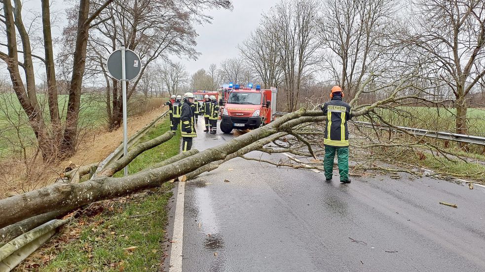 Ein Baum versperrte in Bunde die Vellager Straße. Foto: Feuerwehr Bunde