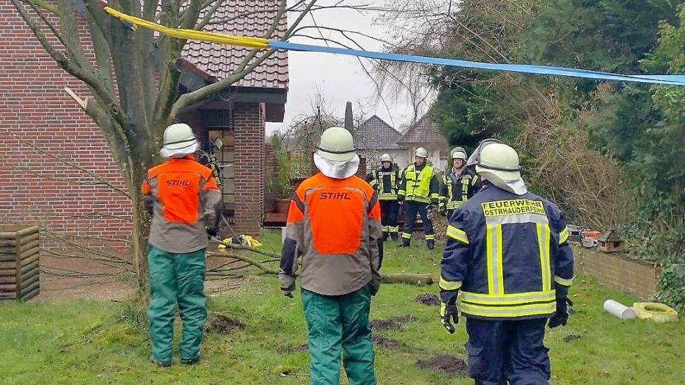 Mit einem Greifzug wurde der Baum von den Einsatzkräften zunächst gesichert und dann zu Boden gezogen. So wurde verhindert, dass die Buche gegen das Wohnhaus kippt. Foto: Feuerwehr/Block