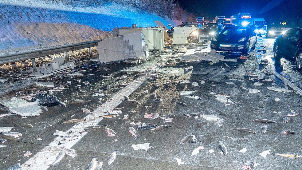 Die Forellen wurden bei dem Unfall über die Fahrbahn verteilt. Foto: JOTO/dpa