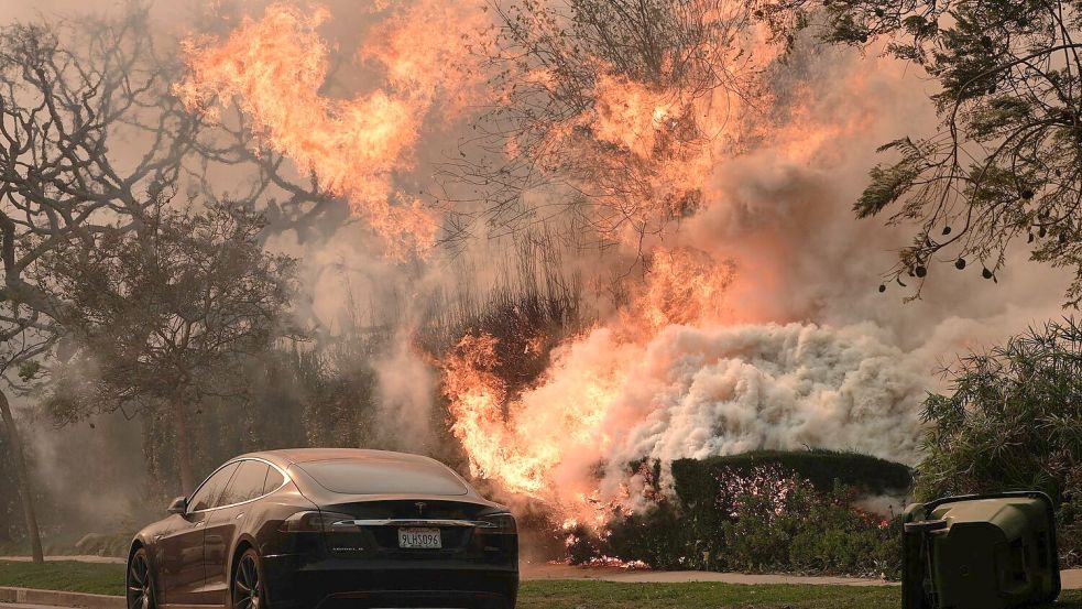 Das „Palisades Fire“ wütet inmitten starker Winde. Foto: Damian Dovarganes/AP/dpa