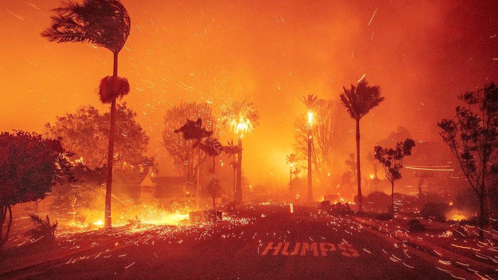 Anhaltende Trockenperioden in mehreren Regionen begünstigten Waldbrände, schreibt Copernicus, und verweist besonders auf Amerika. Foto: Ethan Swope/FR171736 AP/dpa