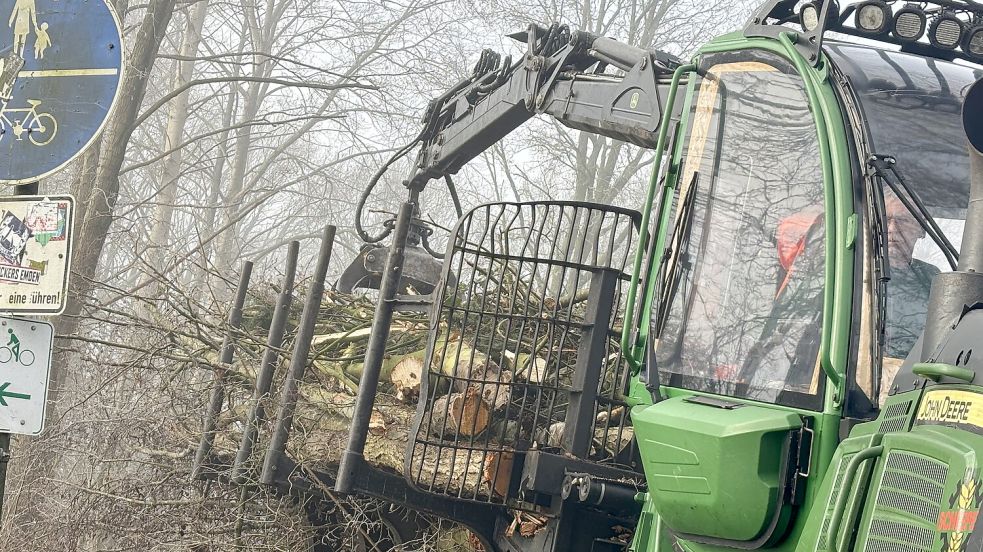 Baumstämme und Strauchwerk wurden diese Woche per Trecker und Greifarm eingesammelt und zum Südufer des Hahnentanger Sees gebracht. Foto: Janßen