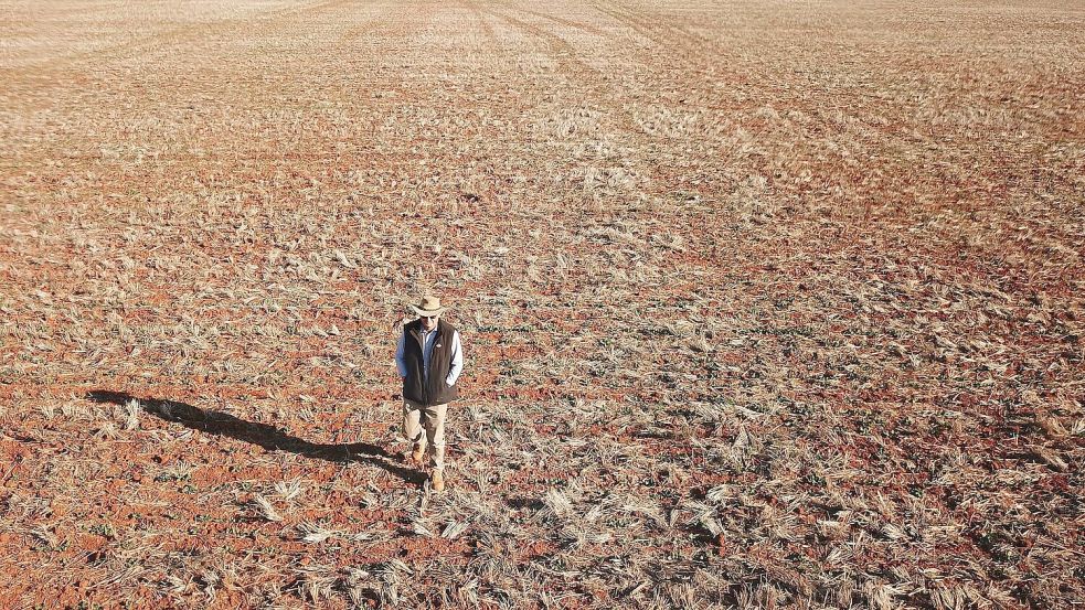 Ein Getreidebauer geht während einer Dürreperiode in Australien 2018 über sein vertrocknetes Rapsfeld. (Archivbild) Foto: Dean Lewins/AAP/dpa