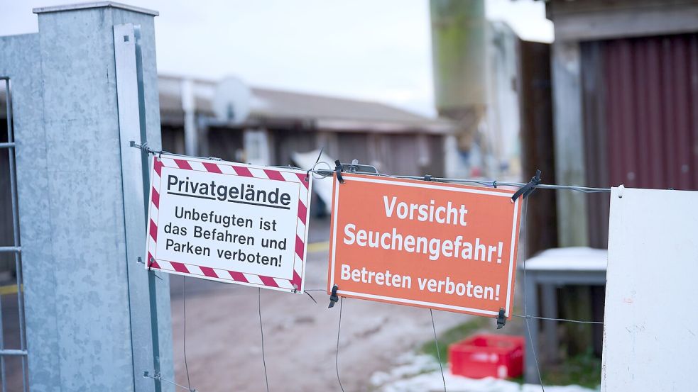 Bislang wurde das Virus nur bei einer Wasserbüffelherde festgestellt (Archivbild). Foto: Annette Riedl/dpa