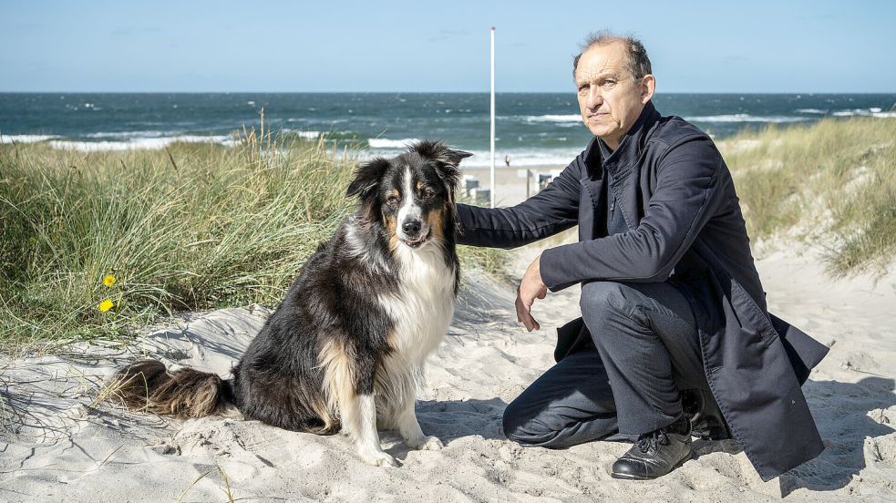 „Nord Nord Mord“: In der Folge „Sievers und der verlorene Hund“ ist der Australian Shepherd Bobby Sievers‘ einziger Zeuge. Foto: ZDF/Georges Pauly