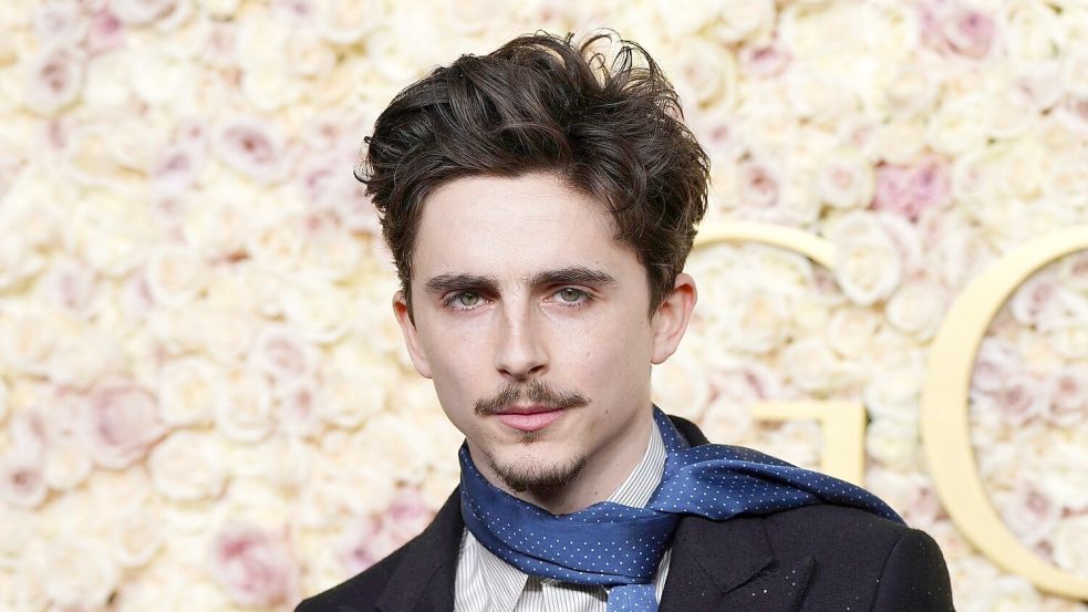 Timothée Chalamet gehört zu den Stars, die in Berlin erwartet werden (Archivbild). Foto: Jordan Strauss/Invision/AP/dpa