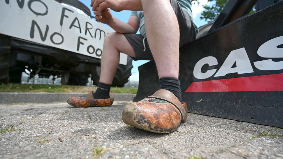 Mehrfach hatten Landwirte in den vergangenen Jahren massiv gegen die Umweltauflagen protestiert. (Archivbild) Foto: Lars Klemmer/dpa