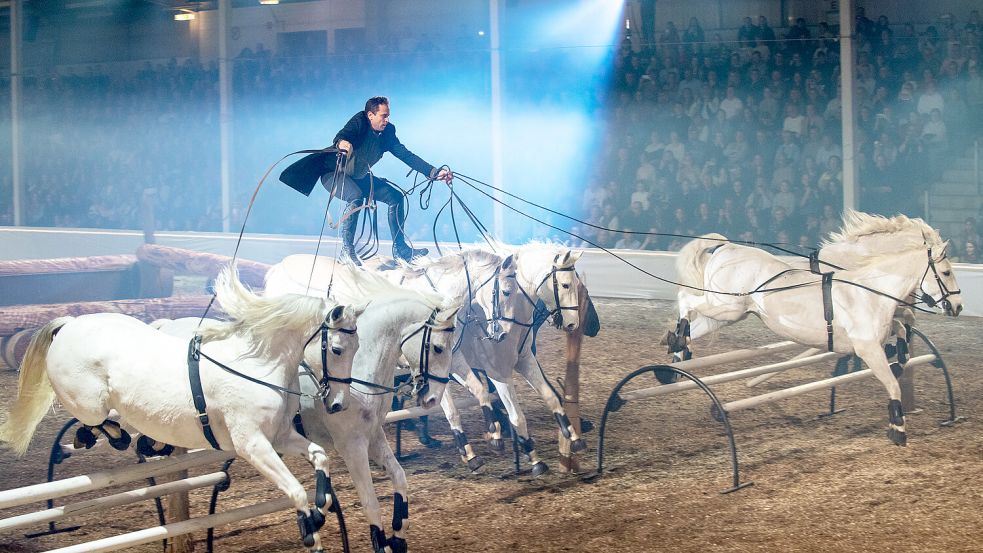 Einer der Höhepunkte des Galaabends 2025 ist der fliegende Franzose Lorenzo. Foto: Gleich