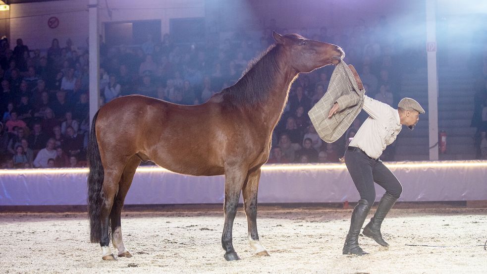 Mit Witz und Elan begeisterte die „Compagnie Impulsion“das Publikum. Foto: Gleich