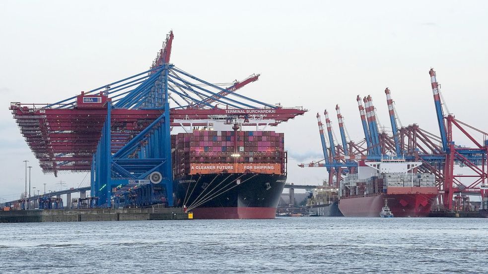 Containerschiffe von Hapag-Lloyd und Maersk liegen im Hamburger Hafen. (Archivbild) Foto: Marcus Brandt/dpa