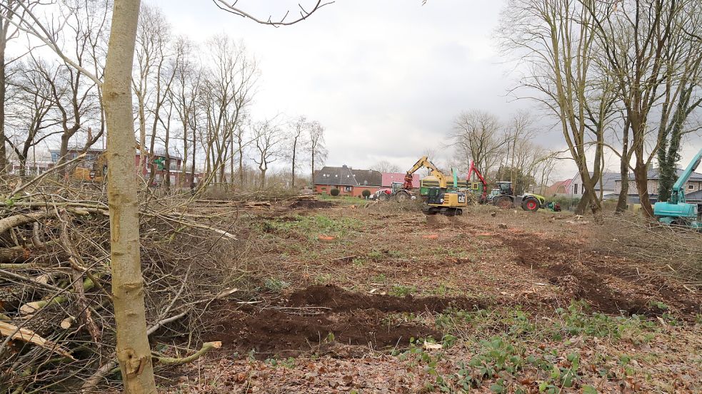 Für einen Wohnmobilstellplatz wurde in Barßelermoor an der Ecke Fasanendamm/Deichstraße eine Fläche gerodet. Foto: Passmann