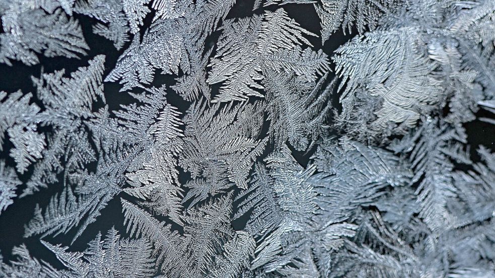 Häufig sehen Eisblumen wie Farnblätter aus. (Archivbild) Foto: Patrick Pleul/dpa-Zentralbild/dpa