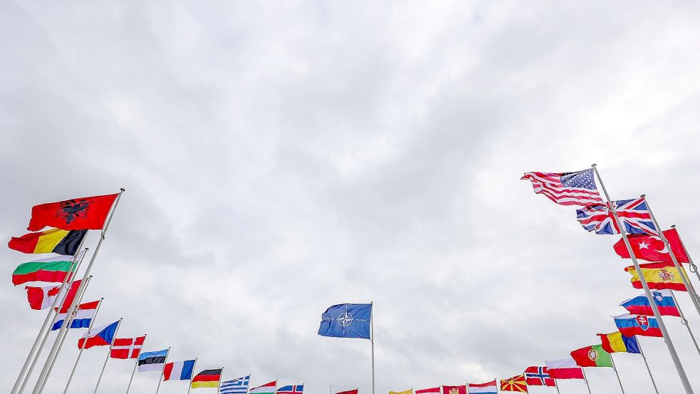 Die Fahnen der Nato-Staaten, darunter auch viele EU-Staaten. (Archivbild) Foto: Olivier Matthys/AP/dpa