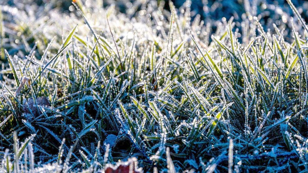 Noch ist es frostig, doch es nähert sich eine Warmfront. Foto: Jens Büttner/dpa