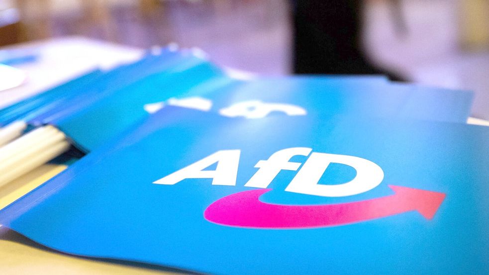 Wirbel um AfD-Großspende. (Symbolbild) Foto: Daniel Karmann/dpa