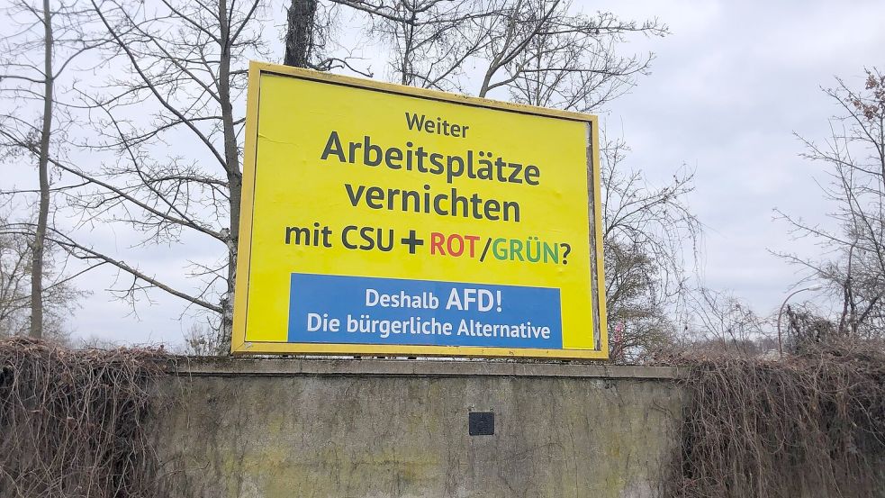 Auffällige AfD-Wahlwerbung wie hier in Bamberg ist auch in anderen Städten in Deutschland zu sehen. Es handelt sich nicht um offizielle AfD-Wahlplakate, sondern um eine Aktion des Spenders Gerd Dingler aus Österreich. (Archivbild) Foto: David Hutzler/dpa