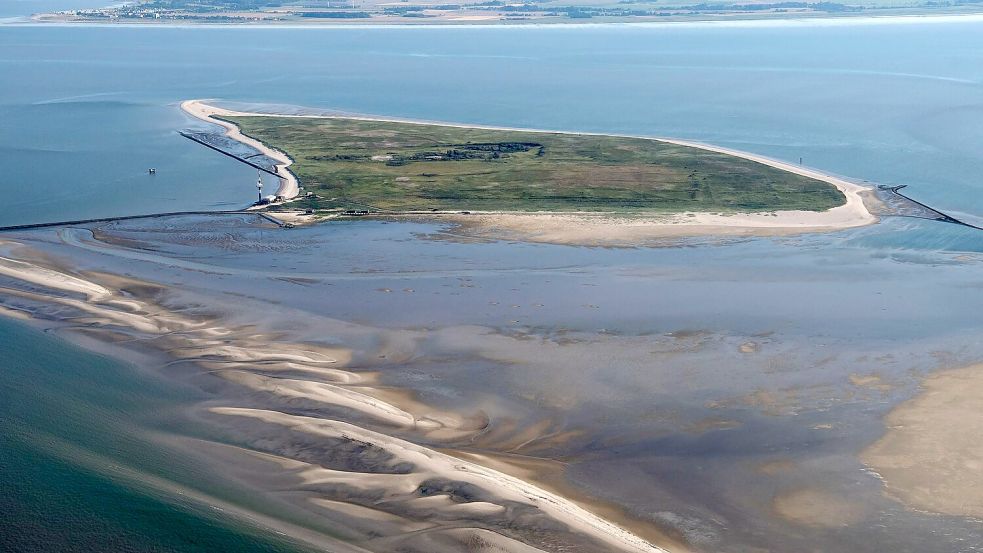 Die unbewohnte Vogelschutzinsel Minsener Oog mitten im Nationalpark Wattenmeer darf nicht betreten werden. (Archivbild) Foto: Sina Schuldt/dpa