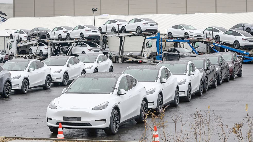 Das neue Model Y wird auch am europaweit einzigen Werk in Grünheide bei Berlin gebaut. (Archivbild) Foto: Patrick Pleul/dpa