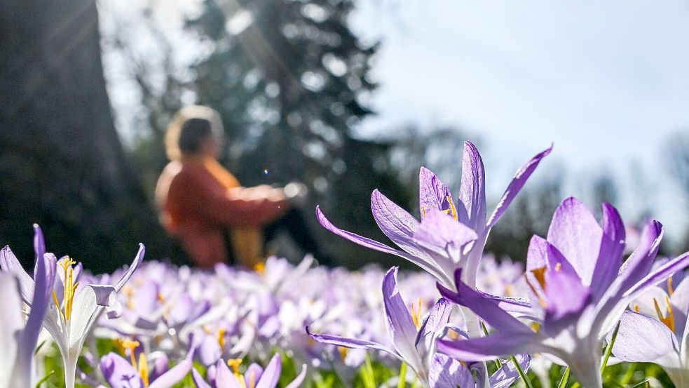 In den kommenden Tagen soll es in Deutschland bis zu 20 Grad werden. Foto: Jens Kalaene/dpa