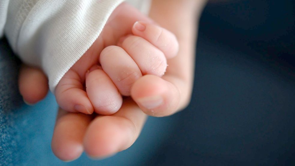 Eine Mutter aus Cuxhaven bietet ihr Baby im Internet zum Verschenken an. (Symbolbild) Foto: Sebastian Gollnow/dpa