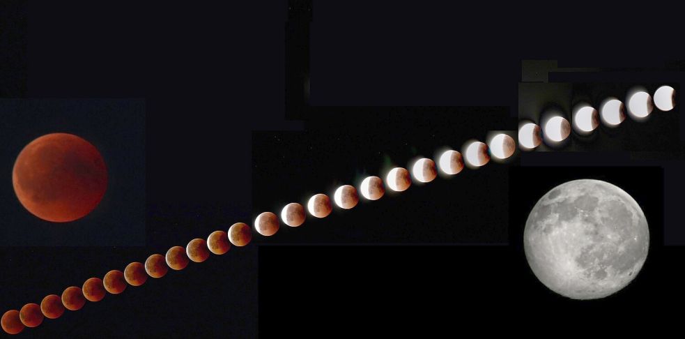 Eine Collage der letzten Mondfinsternis mit Blutmond von 2019. David Schmidt aus Ostrhauderfehn, 2. Vorsitzender des Astronomie-Clubs Ostfriesland, hat die Phasen der Finsternis einer Spiegelreflexkamera aufgenommen. Foto: Schmidt