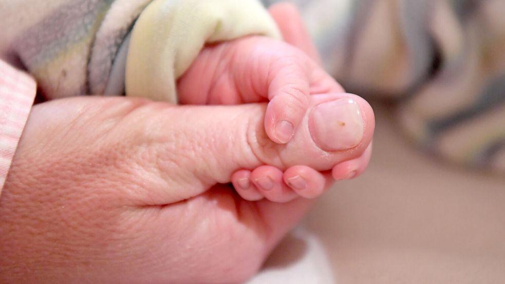 In einer Praxis wird der Daumen einer Hebamme von der Hand des neun Tage alten Babys gehalten. Foto: Uli Deck/dpa