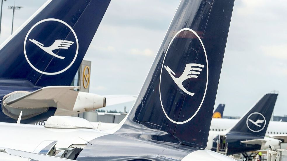 Die Lufthansa hat 2024 auch wegen Streiks weniger Gewinn gemacht (Archivbild) Foto: Andreas Arnold/dpa