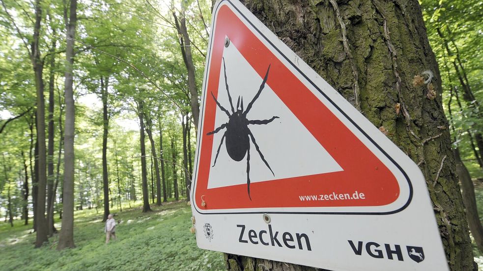 Vor Zecken wird mit einem Schild in einem Waldgebiet in Niedersachsen gewarnt. Foto: Hollemann/DPA