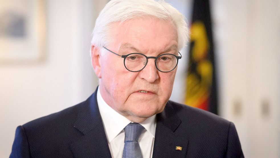 Bundespräsident Steinmeier hat die Grundgesetzänderung für das Finanzpaket unterzeichnet Foto: Bernd von Jutrczenka/dpa