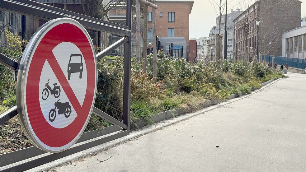 Bei der Abstimmung ging es auch darum, dass die Straßen begrünt werden sollen. (Archivbild) Foto: Rachel Boßmeyer/dpa