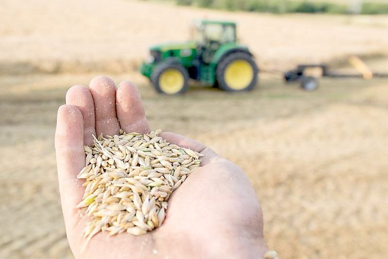 Agrarsubventionen: Bundesamt Für Naturschutz Fordert Reform - General ...