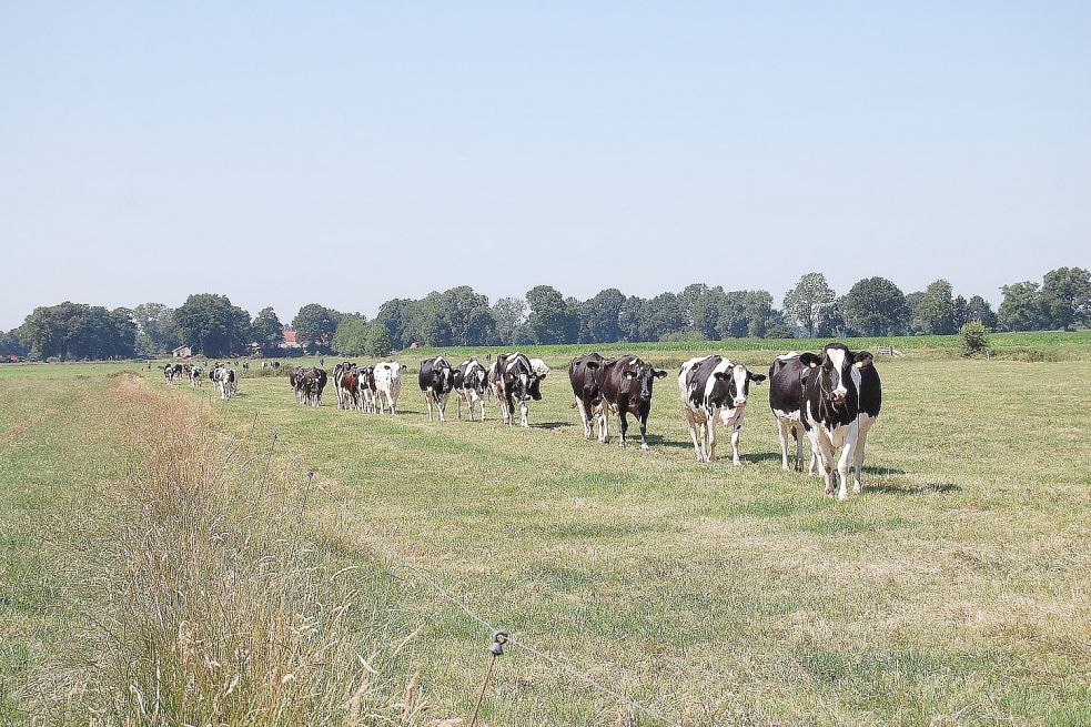 Bewusstsein Schaffen F R Ein Gutes Produkt General Anzeiger